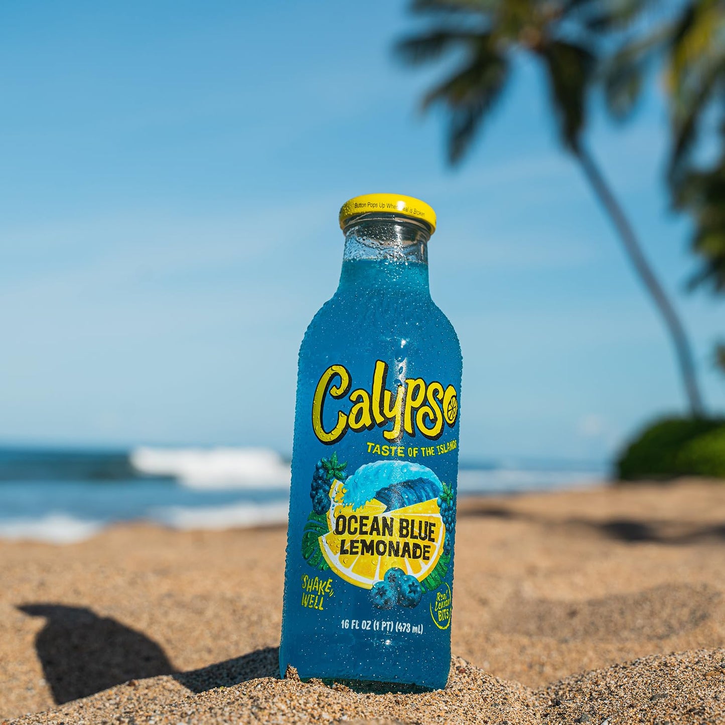 Calypso Ocean Blue Lemonade 473ml – der Geschmack des Sommers in Blau! 💙🍋